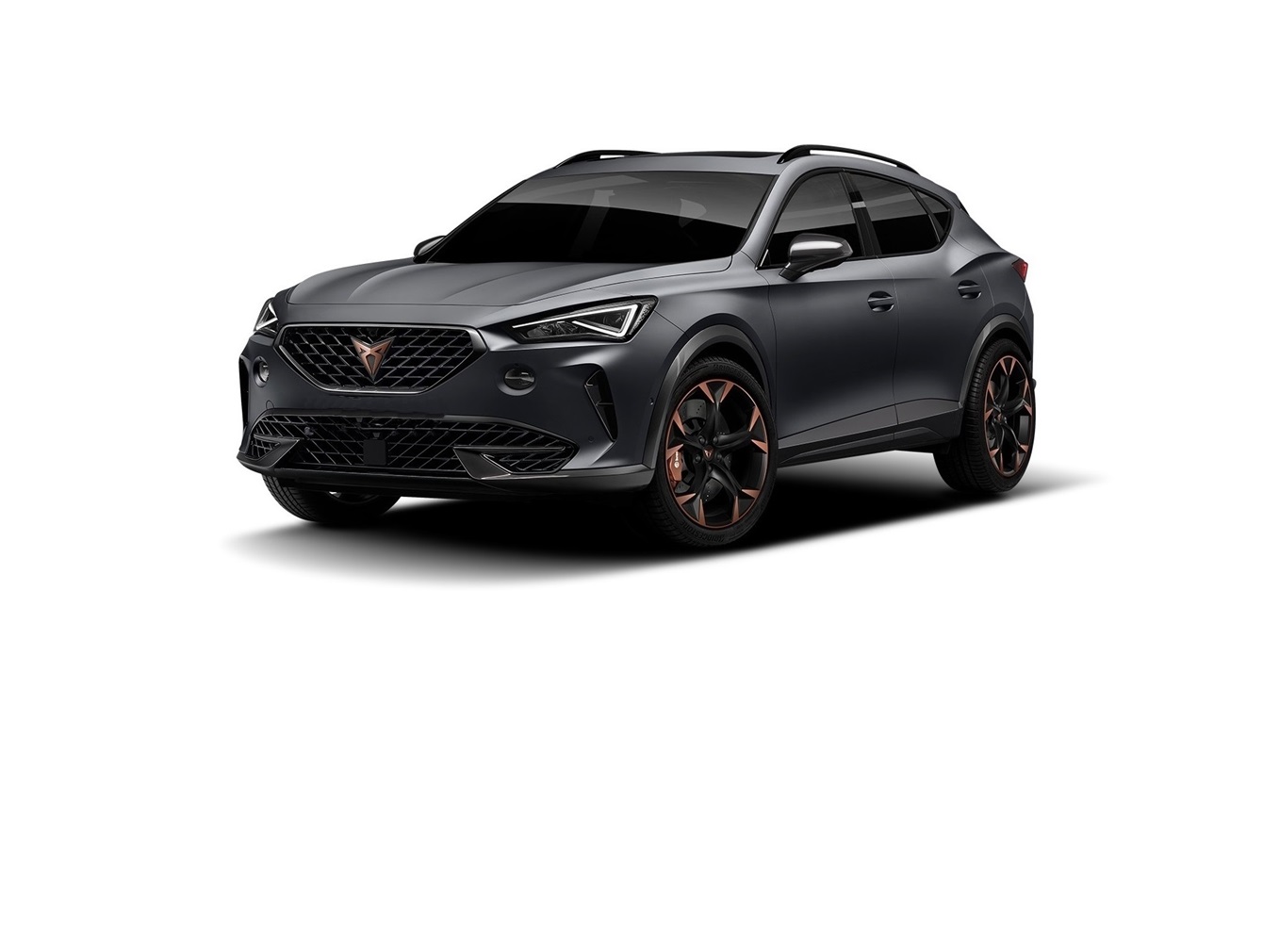 RIMAPPATURA CENTRALINA CUPRA FORMENTOR VZ 310CV